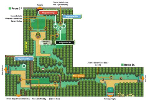 cut in heartgold|Route 36 .